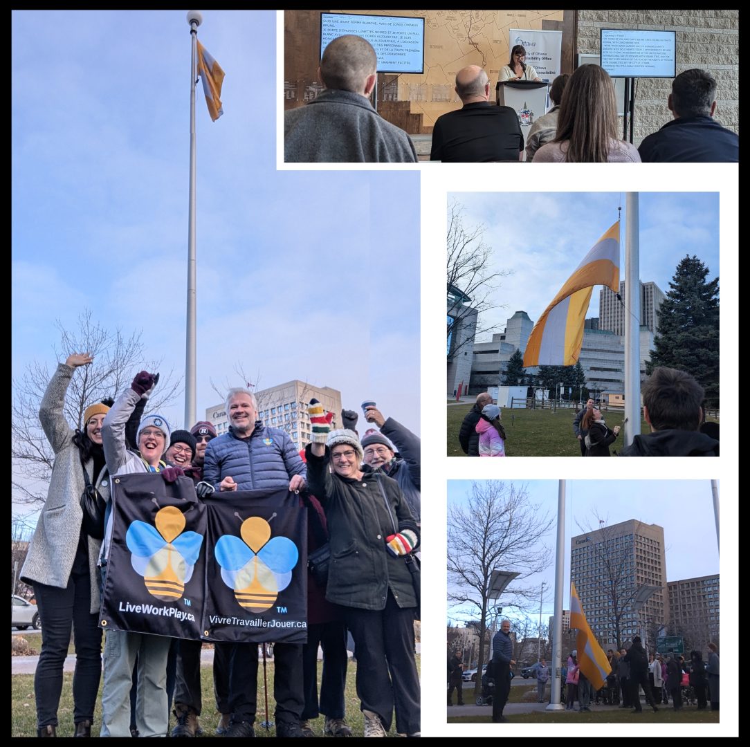 LiveWorkPlay Celebrates International Day of Persons with Disabilities